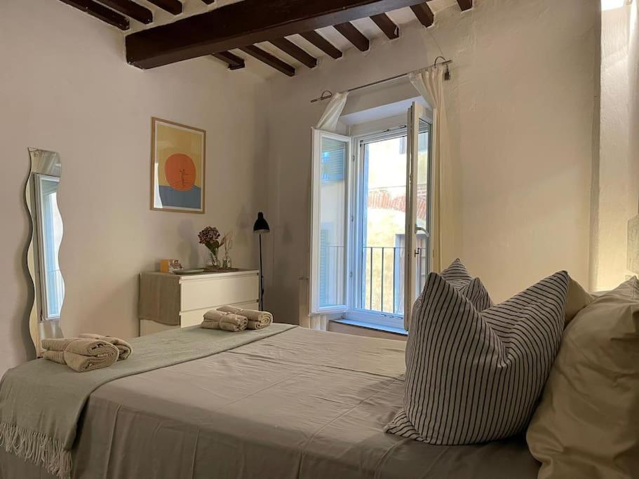 Casa Storica Nel Cuore Di Pisa - Lungarno 외부 사진